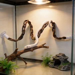 Choose Your Size Bendable Reptile Climbing Vine, Suction Cup Jungle Decor for Gecko, Lizard, Snake Terrarium