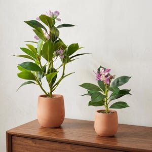 May include: Two artificial plants with green leaves and purple flowers potted in smooth, rounded terracotta-colored containers. The taller plant stands on the left, while the shorter plant is positioned to the right, both featuring stems.