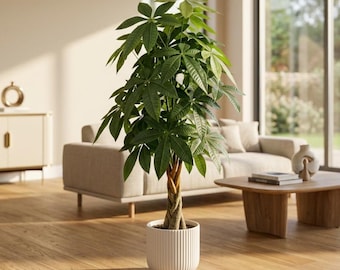Plante artificielle Pachira aquatica tressée – Décoration d'intérieur – Décoration moderne – Plantes décoratives artificielles
