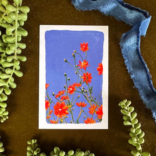 Mini stampa artistica Cosmos, dipinto floreale (4x6)