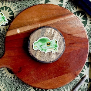 Frog Magnet, Refrigerator, Computer, Car Magnet for Kitchen or Home Office Decor
