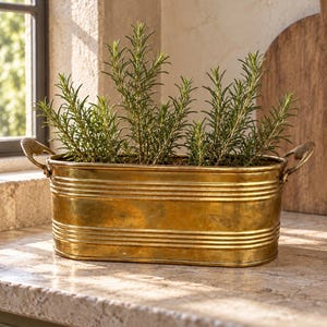 Vintage Brass Oval Container with Shell Handles | Ribbed Cachepot (Made in India)
