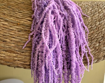 Preserved Drooping Amaranthus Stems. Home Decor. Wedding Florals.