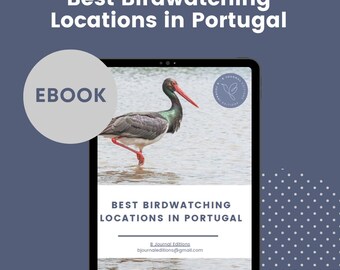 Best Birdwatching Locations in Portugal