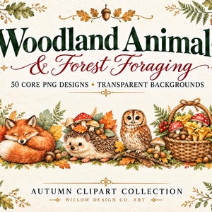 May include: A digital graphic set titled Woodland Animals & Forest Foraging featuring a sleeping orange fox, a hedgehog with mushrooms, an owl, and a woven basket filled with mushrooms and berries, surrounded by autumn leaves and acorns.