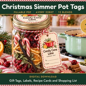 May include: A glass jar filled with dried cranberries, orange slices, candy canes, and a vanilla bean, featuring a tag labeled Candy Cane Lane Simmer Pot with space for To and From. The digital download includes 15 pages of gift tags, labels, recipe cards, and a shopping list.