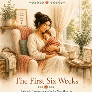 May include: A book cover titled The Invisible Load Project: The First Six Weeks. The illustration features a person holding a newborn baby in a chair, surrounded by a cozy room with plants, a mug, and framed signs reading One breath at a time and You are doing better than you think.