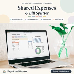 Shared Expenses Spreadsheet, Google Sheets and Excel, Bill Splitter for Couples & Roommates