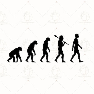 Könnte beinhalten: Eine schwarze Silhouettengrafik, die die Stadien der menschlichen Evolution darstellt, beginnend mit einem vierbeinigen Primaten und fortschreitend über verschiedene Hominidenformen bis hin zu einer aufrecht gehenden menschlichen Figur mit Speer.