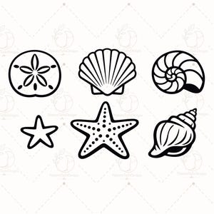 Könnte beinhalten: Eine Sammlung von sechs schwarz-weißen Strichzeichnungen mit Meereslebewesen. Das Set enthält einen Sanddollar, eine fächerförmige Jakobsmuschel, ein spiralförmiges Nautilusgehäuse, einen kleinen fünfzackigen Seestern, einen größeren gepunkteten Seestern und ein Schneckenhaus.