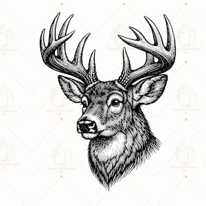 Puede incluir: Una ilustración en blanco y negro estilo tinta de una cabeza de ciervo con astas grandes y detalladas. La obra presenta un intrincado trabajo de líneas y sombreado cruzado para definir la textura del pelaje y la estructura de las astas.