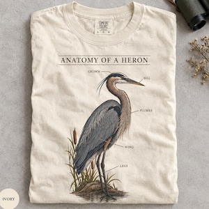 Peut inclure: Un t-shirt ivoire avec une illustration détaillée intitulée Anatomy of a Heron. Le graphique montre un héron gris et brun debout parmi des roseaux avec des étiquettes pointant vers sa couronne, son bec, ses plumes, son aile et ses pattes.
