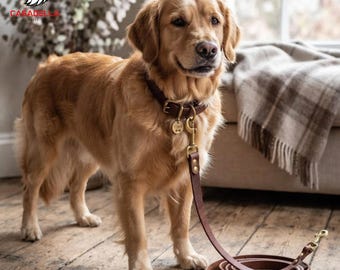 Conjunto de collar de cuero personalizado para perro con correa a juego, collar resistente de cuero auténtico para mascotas con placa metálica grabada, regalo para amantes de los perros