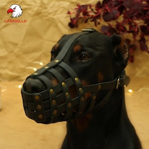 May include: A black leather dog muzzle featuring a basket-style cage design with brass-coloured metal rivets. The muzzle is secured with adjustable straps and a metal buckle, worn by a black and tan Doberman dog. The logo CASADELLA PELLE is visible.