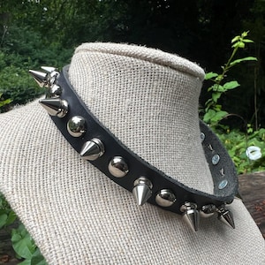 Gargantilla punk con púas de árbol de 1/2” y tachuelas redondas de 3/8”