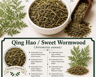 Qing Hao / Sweet Wormwood (Artemisia annua)