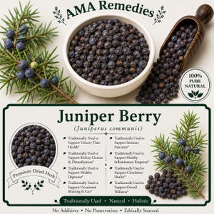 Juniper Berry (Juniperus communis)