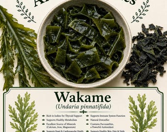 Wakame (Undaria pinnatifida)
