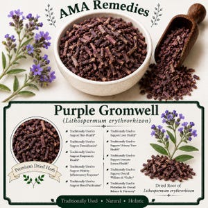 Purple Gromwell (Lithospermum erythrorhizon)