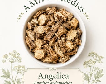 Angelica (Angelica archangelica) Loose Leaf Tea (Organic)