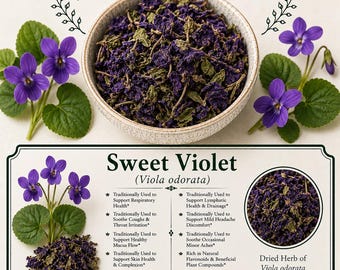 Sweet Violet (Viola odorata)