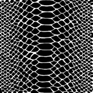 Puede incluir: Un patrón gráfico de alto contraste que presenta una textura de piel de serpiente repetitiva en blanco y negro. El diseño muestra escamas más grandes y alargadas que corren verticalmente por el centro, flanqueadas por formas irregulares.