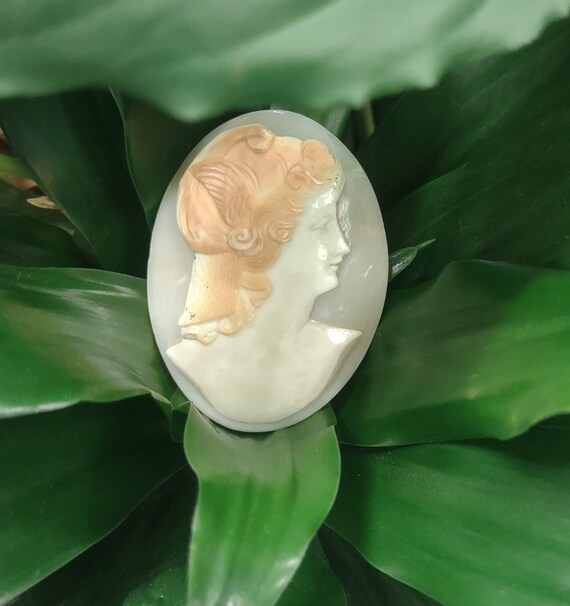 Camée Ancien En Coquille – Superbe Profil De Femme Finement Sculpté – Belle Pièce D'occasion