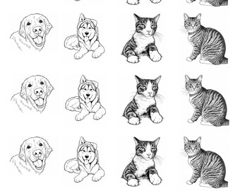 May include: A grid of black and white illustrations featuring five rows of four animals. Each row contains a golden retriever head, a husky lying down, a sitting cat with white paws, and a tabby cat sitting in profile with a collar.