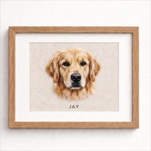 May include: A framed portrait of a golden retriever dog with light brown fur, dark eyes, and a black nose. The dog is centered on a light beige textured background with the name JAY printed in black capital letters below the dog's head.