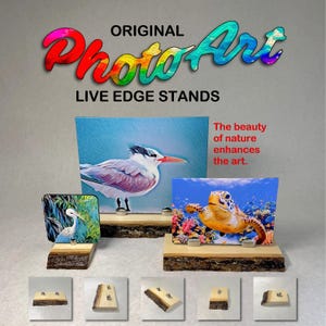 May include: Three rectangular art prints on live edge wood stands. The prints feature a bird, a sea turtle, and a heron. Text reads: ORIGINAL PhotoArt LIVE EDGE STANDS and The beauty of nature enhances the art. Five small wood base samples.