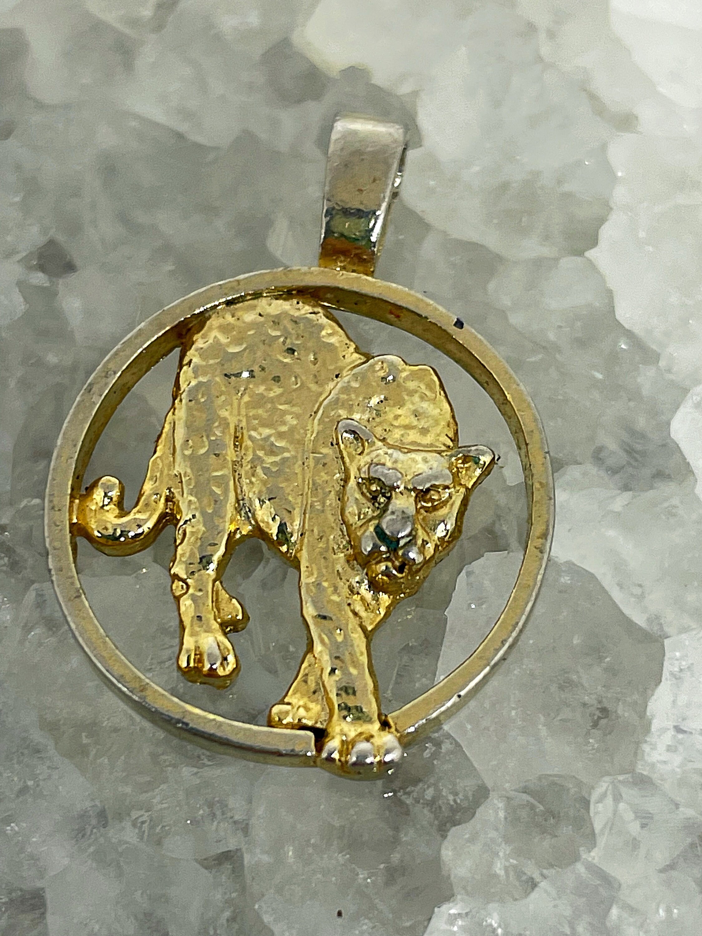Florida Panthers Matthew Tkachuk Legends Bronze Coin Photo Mint