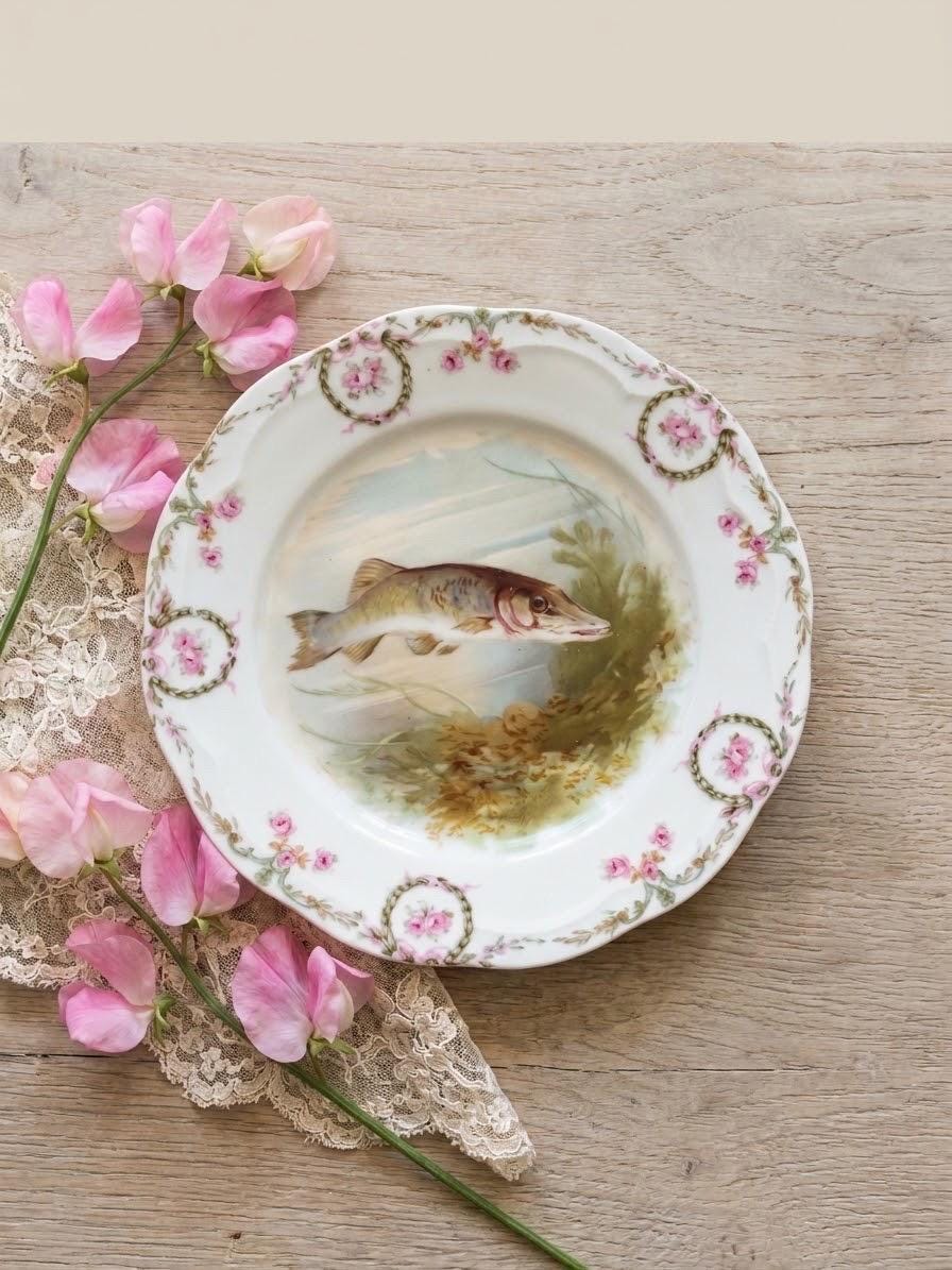 Bavaria Rose Plates Antique - Etsy
