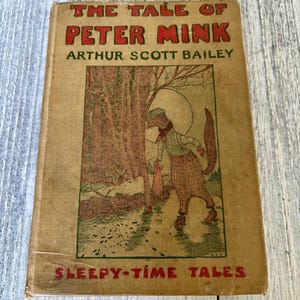 Antique The Tale of Peter Mink by Arthur Scott Bailey | Sleepy Time Tales Collection | 1916 Hardcover Edition