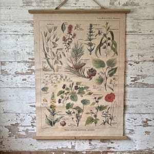 Vintage French Botanical Wall Hanging, Calming Plants Chart, Cottagecore Apothecary Art (29x39)
