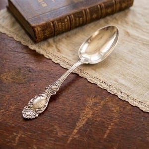 May include: A silver-toned metal spoon featuring an ornate, embossed handle with intricate scrollwork and floral detailing. The spoon has a smooth, polished oval bowl and a decorative, flared end with a central oval cartouche area.