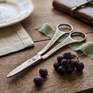 May include: Silver scissors with ornate floral detailing, resting on a wooden surface. A small bunch of dark purple grapes and a green fabric are nearby. The scissors have a classic design, suitable for various crafting or decorative purposes.