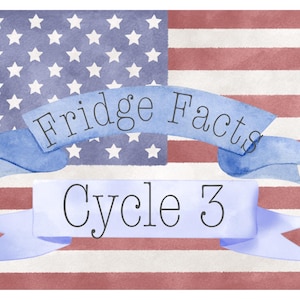 Puede incluir: Una ilustración estilo acuarela de la bandera de los Estados Unidos con un cantón azul con estrellas blancas y rayas rojas y blancas. Dos pancartas azul claro se superponen, con el texto Fridge Facts arriba y Cycle 3 debajo.