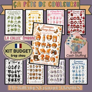 May include: A set of nine laminated savings challenge cards featuring various color-themed illustrations and monetary values, including a pink envelope filled with Euro banknotes, labeled with text such as "Ça pète de couleurs!", "La collec' épargne", and "9 challenges épargne plastifiés".