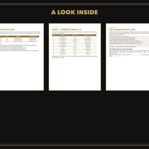 Peut inclure: Trois pages blanches avec du texte noir et des en-t&ecirc;tes dor&eacute;s intitul&eacute;s A LOOK INSIDE. Les pages contiennent des tableaux structur&eacute;s et des listes d&eacute;taillant un programme de 90 jours, la phase 1 Stabiliser et une carte d'urgence.