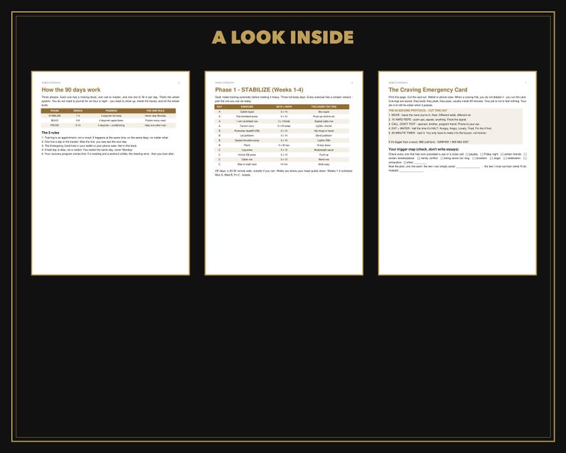 Peut inclure: Trois pages blanches avec du texte noir et des en-t&ecirc;tes dor&eacute;s intitul&eacute;s A LOOK INSIDE. Les pages contiennent des tableaux structur&eacute;s et des listes d&eacute;taillant un programme de 90 jours, la phase 1 Stabiliser et une carte d'urgence.