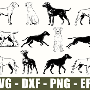 Könnte beinhalten: Eine Sammlung von zwölf schwarz-weißen Illustrationen von Hunden in verschiedenen Posen, darunter stehend, sitzend und rennend. Das Grafikset enthält Silhouetten und Strichzeichnungen, mit dem Text SVG - DXF - PNG - EPS am unteren Rand.