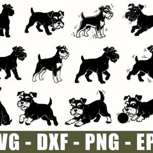 Könnte beinhalten: Eine Sammlung von zwölf schwarz-weißen grafischen Illustrationen, die Schnauzer-Hunde in verschiedenen Posen zeigen, darunter stehend, rennend, sitzend und mit einem Ball spielend. Der Text SVG - DXF - PNG - EPS steht am unteren Rand.