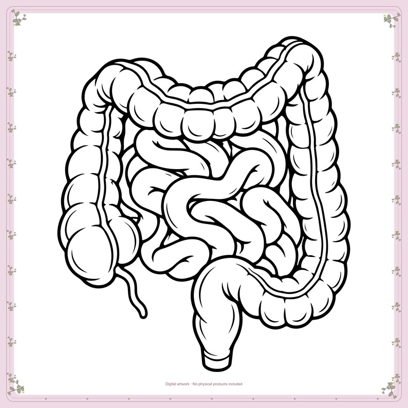 Human Intestines Anatomy Silhouette, Svg, Dxf, Png - Etsy