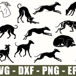 Puede incluir: Una colección de ilustraciones gráficas en blanco y negro que muestran varias poses de galgos, incluyendo corriendo, sentado, de pie y jugando con una pelota, acompañadas por el texto SVG - DXF - PNG - EPS en la parte inferior.