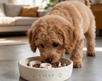 Personalized Maze Slow Feeder Bowl, Custom Pet Name Ceramic Dog Cat Bowl, Anti‑Choking Slow Eating Food Dish for Puppies