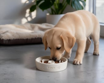 Ceramic Slow Feeder Bowl, Custom Engraved Name Bowl, Anti‑Gulping Anti‑Choking Pet Food Bowl,New Puppy Kitten Gift
