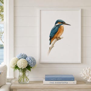 May include: A framed wall art print featuring a detailed illustration of a kingfisher bird with vibrant blue and orange plumage perched on a thin branch. The artwork is displayed in a simple white frame against a white shiplap wall background.