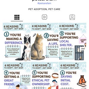 Könnte beinhalten: Eine Social-Media-Profilseite für petsarefam mit sechs Infografik-Panels mit dem Titel 6 Reasons to Adopt, Not Shop. Die Panels verwenden Illustrationen von Hunden und Katzen, nummerierte Listen und Text über die Vorteile der Tieradoption.