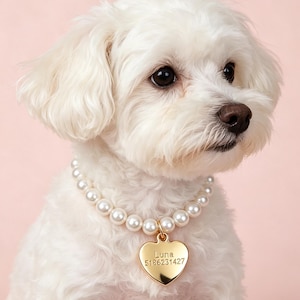 Op de afbeelding: Een witte hond draagt een halsketting gemaakt van ronde witte imitatieparels. Een goudkleurige hartvormige metalen hanger hangt aan het midden van de ketting, gegraveerd met de naam Luna en de cijferreeks 5186231427 in een duidelijk lettertype.