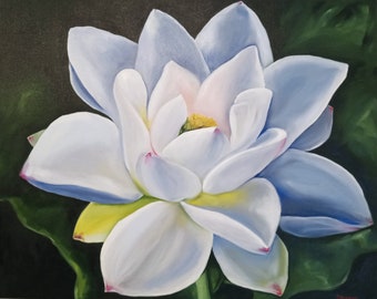 Lotus Blanc